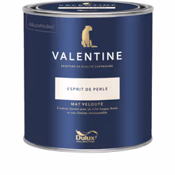LIVRAISON OFFERTE DES 39€ D’ACHAT ET RETOUR GRATUIT ! La Valentine DULUX VALENTINE - Peinture intérieure de qualité supérieur ...