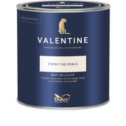 Dulux Valentine - Peinture intérieure de haute qualité - Valentine - Couleur intense & pouvoir couvrant élevé - Mat Velouté Esprit de Perle 0,5 l