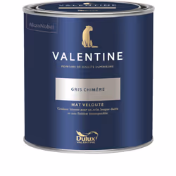 LIVRAISON OFFERTE DES 39€ D’ACHAT ET RETOUR GRATUIT ! La Valentine DULUX VALENTINE - Peinture intérieure de qualité supérieur ...
