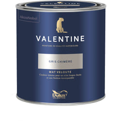 Dulux Valentine - Peinture intérieure de haute qualité - Valentine - Couleur intense & pouvoir couvrant élevé - Mat Velouté Gris Chimère 0,5 l