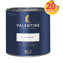 Dulux Valentine - Peinture intérieure de haute qualité - Valentine - Couleur intense & pouvoir couvrant élevé - Mat Velouté Blanc Parfait 2 l