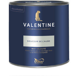 Dulux Valentine - Peinture intérieure de haute qualité - Valentine - Couleur intense & pouvoir couvrant élevé - Mat Velouté Douceur de l'Aube 2 l