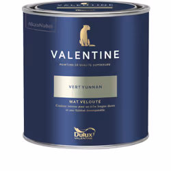LIVRAISON OFFERTE DES 39€ D’ACHAT ET RETOUR GRATUIT ! La Valentine DULUX VALENTINE - Peinture intérieure de qualité supérieur ...