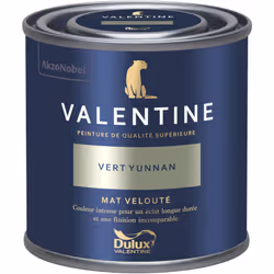 LIVRAISON OFFERTE DES 39€ D’ACHAT ET RETOUR GRATUIT ! La Valentine DULUX VALENTINE - Peinture intérieure de qualité supérieur ...
