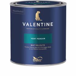 LIVRAISON OFFERTE DES 39€ D’ACHAT ET RETOUR GRATUIT ! La Valentine DULUX VALENTINE - Peinture intérieure de qualité supérieur ...