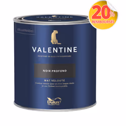 LIVRAISON OFFERTE DES 39€ D’ACHAT ET RETOUR GRATUIT ! La Valentine DULUX VALENTINE - Peinture intérieure de qualité supérieur ...