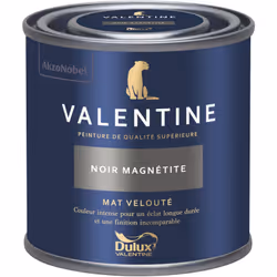 LIVRAISON OFFERTE DES 39€ D’ACHAT ET RETOUR GRATUIT ! La Valentine DULUX VALENTINE - Peinture intérieure de qualité supérieur ...