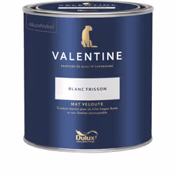LIVRAISON OFFERTE DES 39€ D’ACHAT ET RETOUR GRATUIT ! La Valentine DULUX VALENTINE - Peinture intérieure de qualité supérieur ...