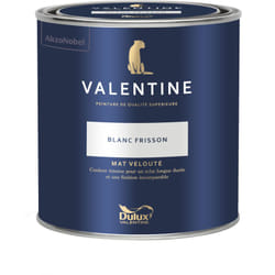Dulux Valentine - Peinture intérieure de haute qualité - Valentine - Couleur intense & pouvoir couvrant élevé - Mat Velouté Blanc Frisson 0,5 l