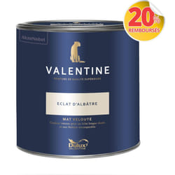 Dulux Valentine - Peinture intérieure de haute qualité - Valentine - Couleur intense & pouvoir couvrant élevé - Mat Velouté Éclat d'Albâtre 2 l