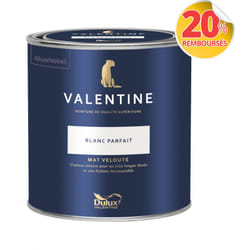 Dulux Valentine - Peinture intérieure de haute qualité - Valentine - Couleur intense & pouvoir couvrant élevé - Mat Velouté Blanc Parfait 0,5 l