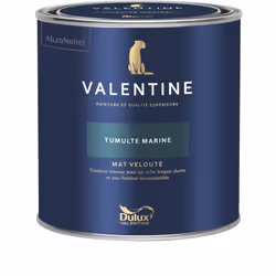 LIVRAISON OFFERTE DES 39€ D’ACHAT ET RETOUR GRATUIT ! La Valentine DULUX VALENTINE - Peinture intérieure de qualité supérieur ...