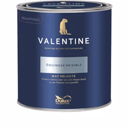 LIVRAISON OFFERTE DES 39€ D’ACHAT ET RETOUR GRATUIT ! La Valentine DULUX VALENTINE - Peinture intérieure de qualité supérieur ...