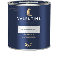 Dulux Valentine - Peinture intérieure de haute qualité - Valentine - Couleur intense & pouvoir couvrant élevé - Mat Velouté Esquisse Cendrée 0,5 l