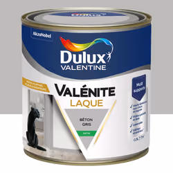 Peinture boiserie beton gris satin DULUX VALENTINE Valenite 0.5l