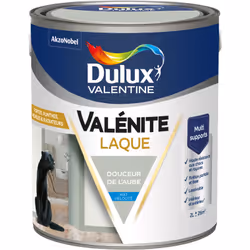LIVRAISON OFFERTE DES 39€ D’ACHAT ET RETOUR GRATUIT ! Laque Valénite Acrylique - Dulux Valentine Envie de changer de déco ? L ...