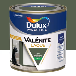 Peinture boiserie vert tropical satin DULUX VALENTINE Valenite 0.5l