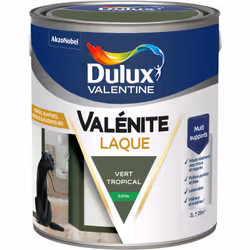 LIVRAISON OFFERTE DES 39€ D’ACHAT ET RETOUR GRATUIT ! Laque Valénite Acrylique - Dulux Valentine Envie de changer de déco ? L ...