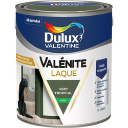 Dulux Valentine - Peinture Laque Valénite Intérieur et Extérieur Multi-supports - Finition parfaite et lisse, Haute Résistance - Satin Vert Tropical