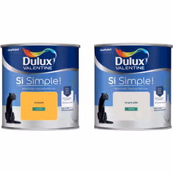 Peinture toutes pièces DULUX VALENTINE Si Simple ! SATIN Lot de 2 - Le Gris Pâle & Le Jaune 0,5 L La peinture Dulux Valentine ...