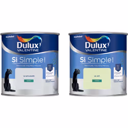 Peinture toutes pièces DULUX VALENTINE Si Simple ! SATIN Lot de 2 - Le Gris Pastel & Le Vert 0,5 L La peinture Dulux Valentin ...