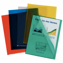 Esselte 420103, Album de présentation, A4, Polyvinyl chloride (PVC), Couleurs assorties, 40 feuilles, 225 mm