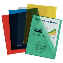 Esselte 420103 fichier Polyvinyl chloride (PVC) Couleurs assorties A4