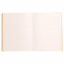 Rhodia 117502C bloc-notes 80 feuilles Noir