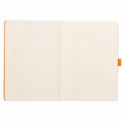 Rhodia 117742C bloc-notes A5 224 feuilles Noir