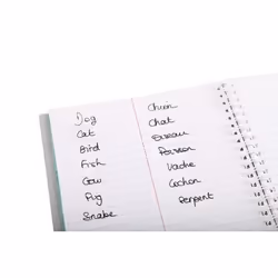 Clairefontaine 161820C bloc-notes A5 50 feuilles Multicolore