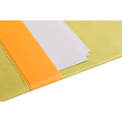 Rhodia 318806C sous-mains Simili-cuir Vert, Orange