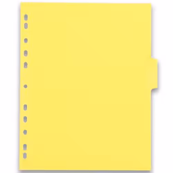Oxford 400019787 intercalaire Mylar Couleurs assorties 6 pièce(s)