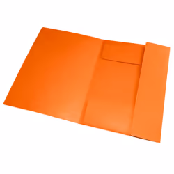 Oxford 400116307 fichier Carton Orange A4