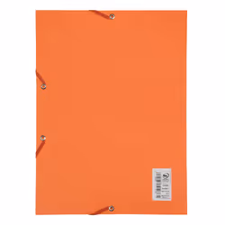 Oxford 400116307 fichier Carton Orange A4