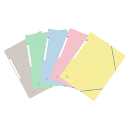 Oxford 400116400 fichier Carton Bleu, Vert, Jaune, Rose, Gris A4