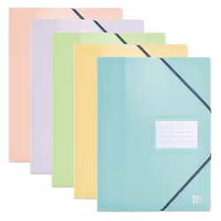 Oxford 400141678, Bleu, Vert, Rose, Violet, Jaune, Polypropylène (PP), 40 pochettes, A4, France, 315 mm