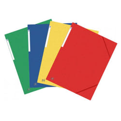 Oxford 400114313 fichier Carton Couleurs assorties A3