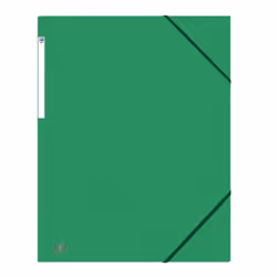 Oxford 400114313 fichier Carton Couleurs assorties A3