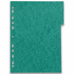 Oxford 100204950 intercalaire Carton Couleurs assorties 6 pièce(s)
