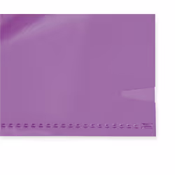 Oxford 100206719 fichier Polyvinyl chloride (PVC) Bleu, Vert, Rouge, Violet, Jaune A4