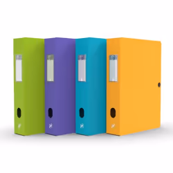 Oxford 100200172, 600 feuilles, Vert, Violet, Turquoise, Jaune, Polypropylène (PP), A4, 8 cm, 250 mm