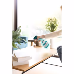 Le désinfectant multi-usages Eucalyptus de la marque Sanytol est une solution pratique et sans javel qui permet de nettoyer e ...
