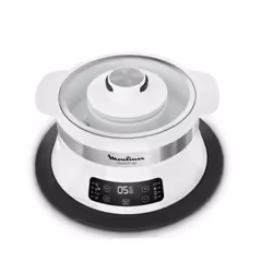 Moulinex Steam up, Blanc, Pose libre, Boutons, Devant, Numérique, 550 W