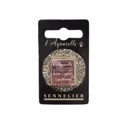 Aquarelle - Sennelier - S1 - Caput Mortum (919) - Haute qualité - Mixte