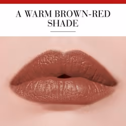 Bourjois Rouge Edition 05 Brun Boheme