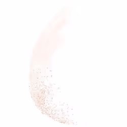 Bourjois Poudre de Riz de Java 3,5 g