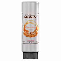 Monin 362003