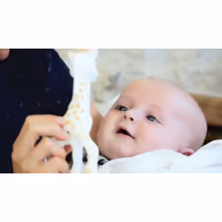 Vulli Sophie La Giraffe - Coffret 2 - Vue supplémentaire 5