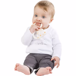 Vulli Anneau Dentition Ieuf