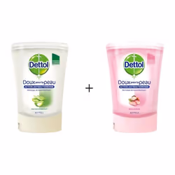 Recharge de savon liquide - DETTOL - No Touch - Beurre de Karité - Aloe Vera - 2x250ml